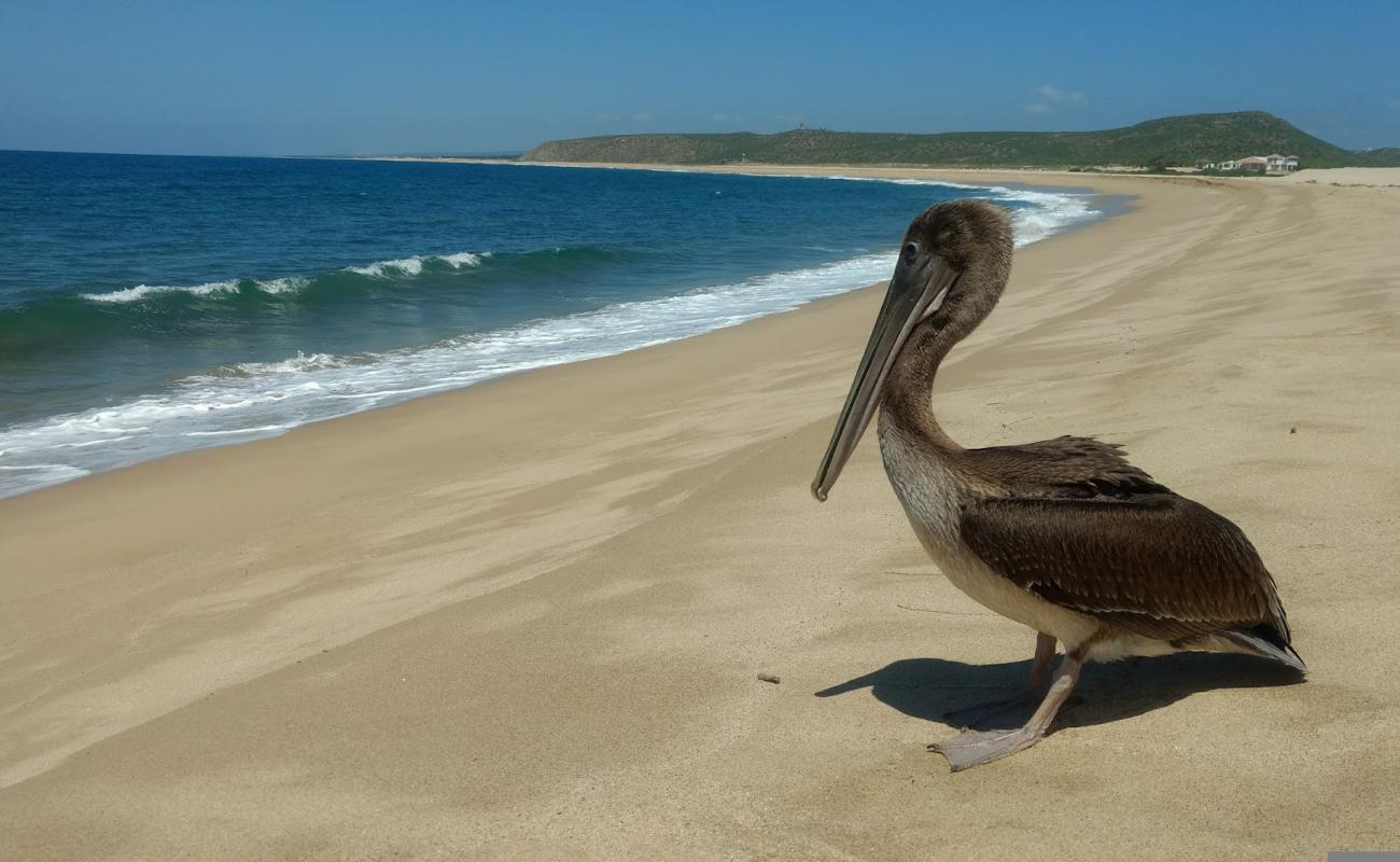 Photo of Punta Lobos with bright fine sand surface