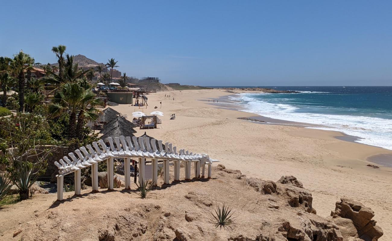 Photo of Playa Sheraton los Cabos with bright fine sand surface