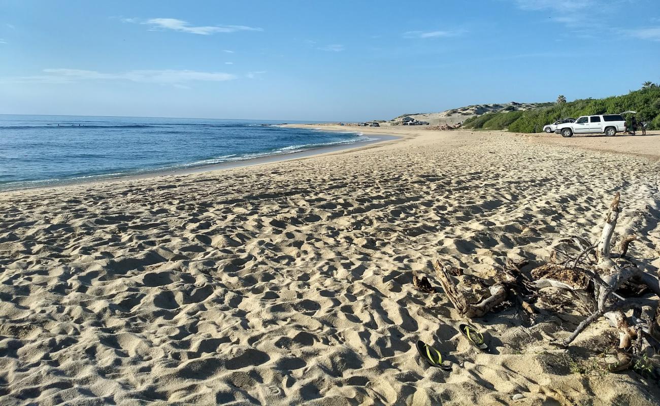 Photo of Nine Palms with bright fine sand surface