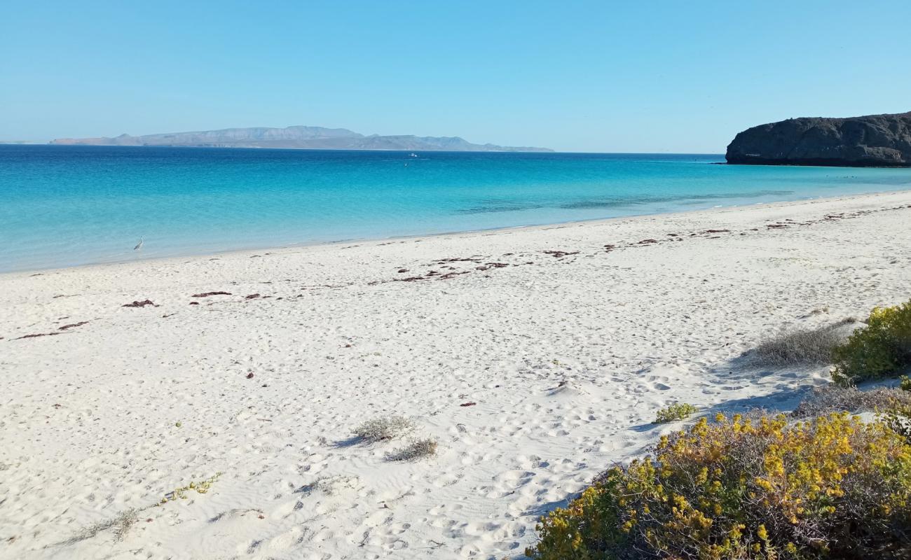 Photo of Playa Escondida with bright fine sand surface