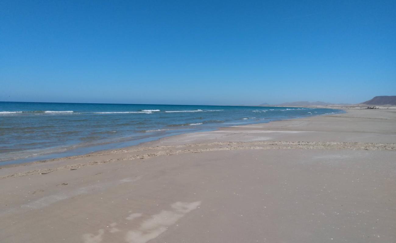 Photo of Playa Puerto Lobos with bright fine sand surface