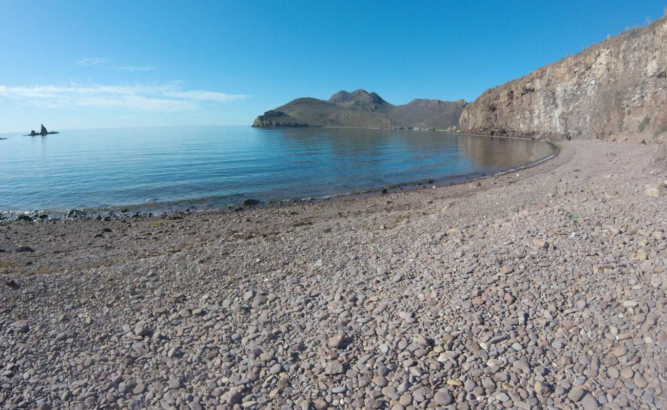 Photo of Catalina Bay beach with gray pebble surface