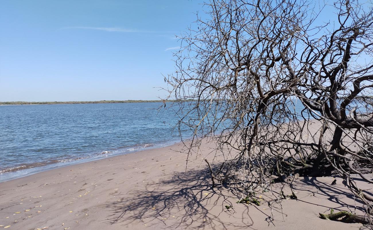 Photo of Puerta Palapares beach with bright sand surface