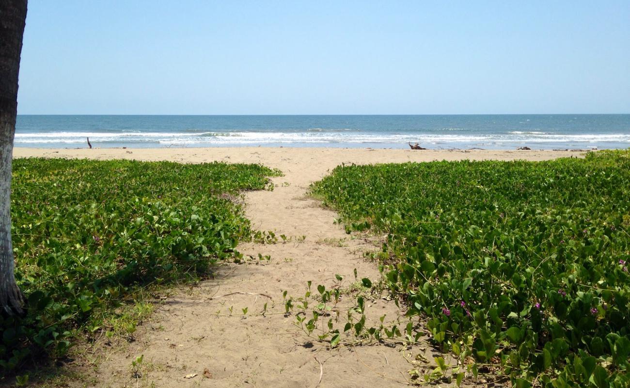 Photo of Chila beach with bright fine sand surface