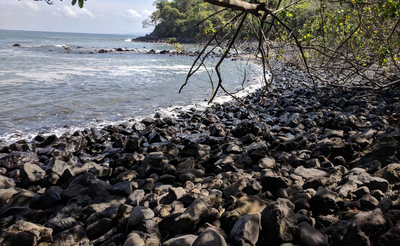 Photo of La Caleta beach with white sand &  rocks surface