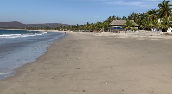 Playa La Manzanilla