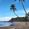 Playa El Tamarindo