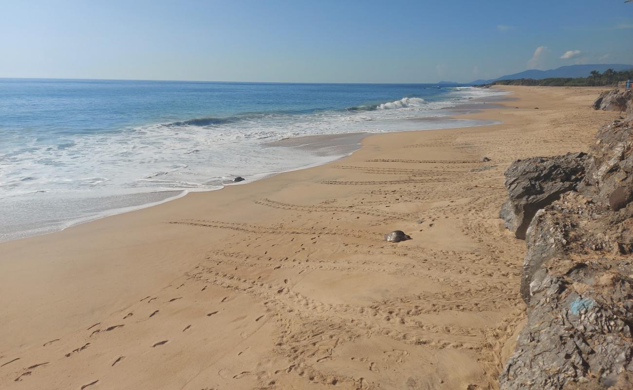 Photo of Ixtapilla beach with brown fine sand surface