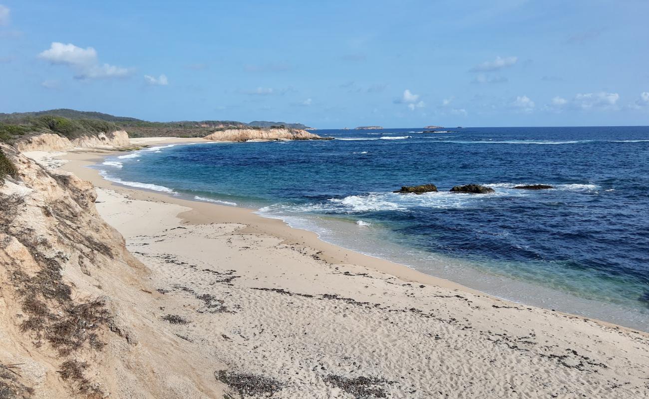 Photo of Playa La Mesa with bright fine sand surface