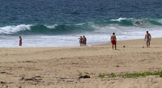 Playa Los Panchitos