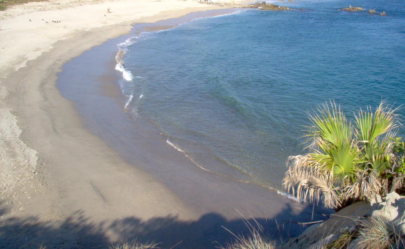 Photo of Playa del sur with bright sand surface