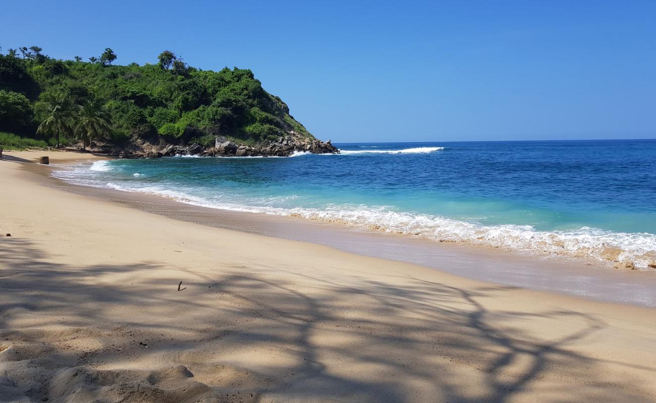 Photo of Coral Beach with bright fine sand surface