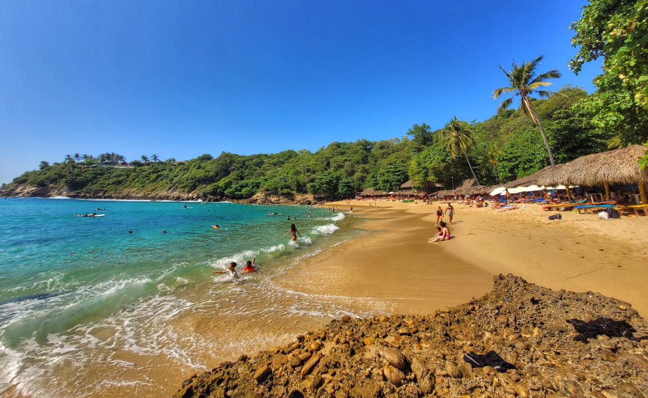 Photo of Carrizalillo beach with bright fine sand surface