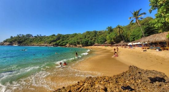 Carrizalillo beach