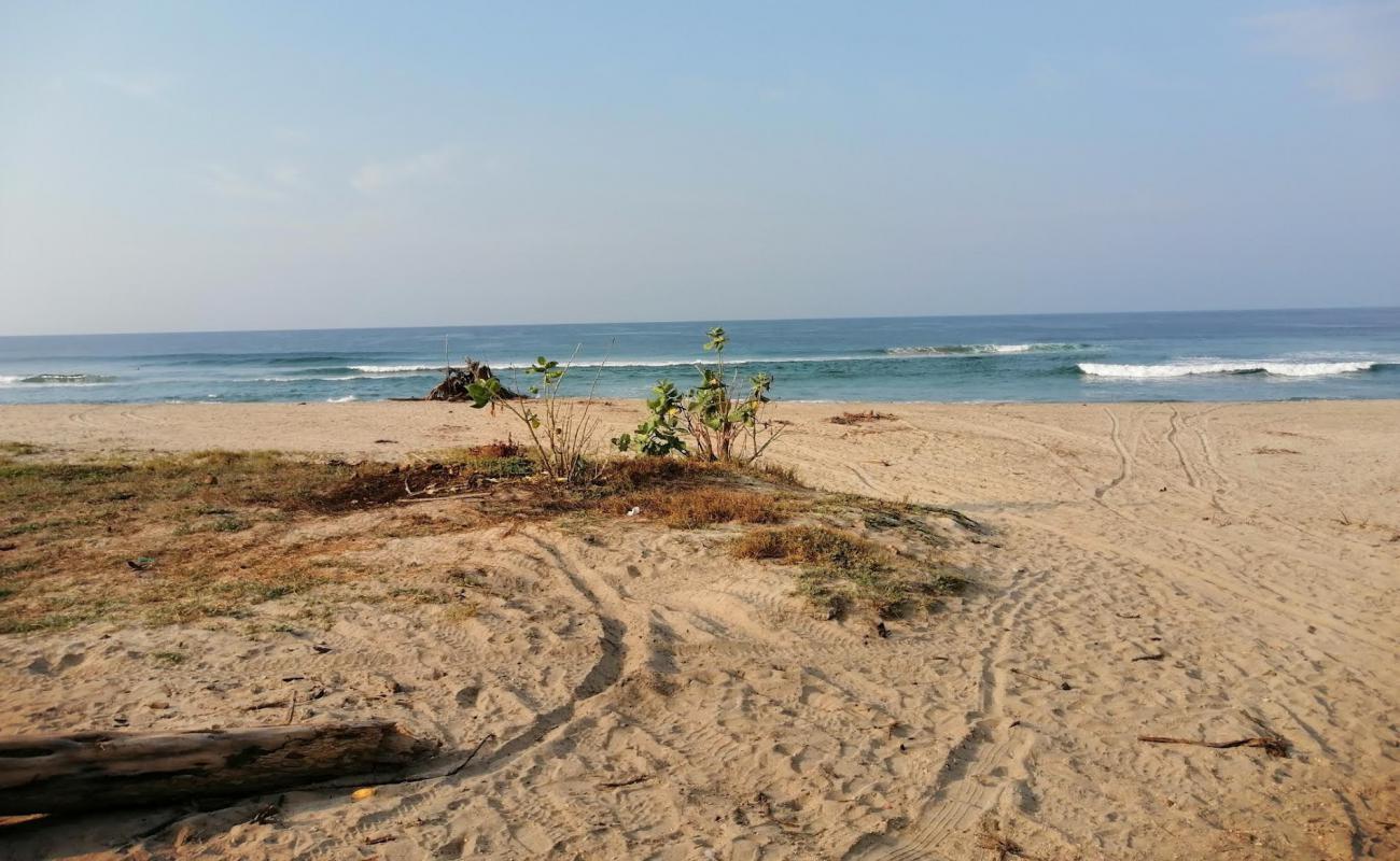 Photo of Playa Los Naranjos with bright fine sand surface