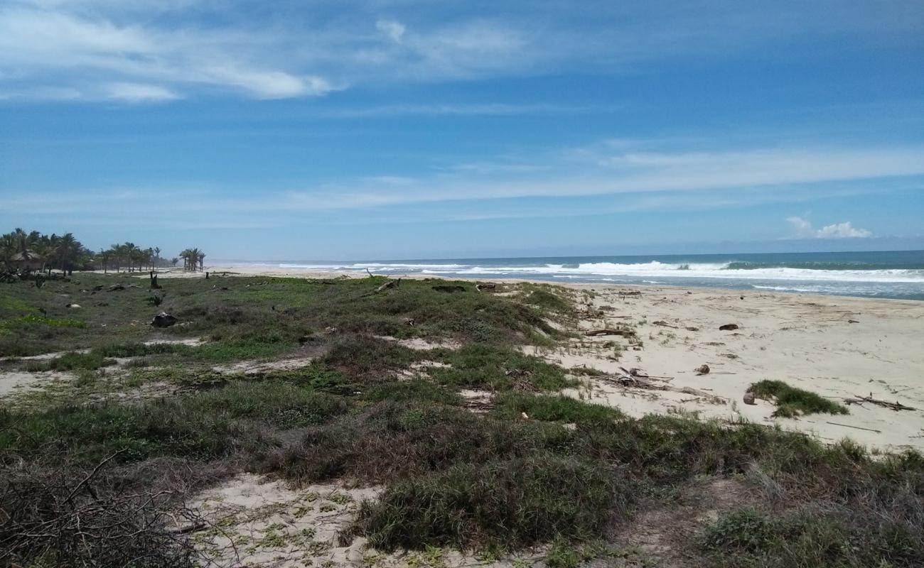 Photo of Playa Hornitos with bright fine sand surface