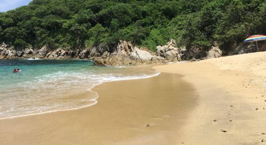 Violín Huatulco beach