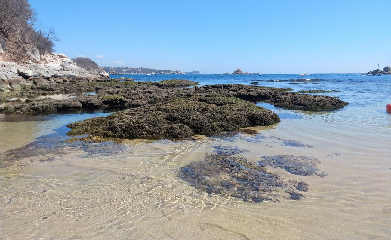 Photo of Los Compas beach with bright sand surface