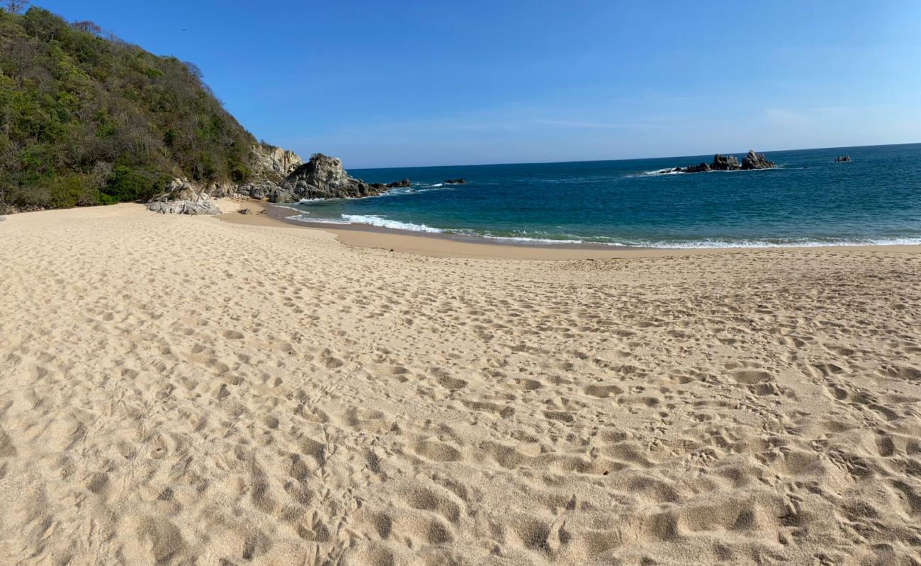 Photo of Punta Arena beach with bright fine sand surface