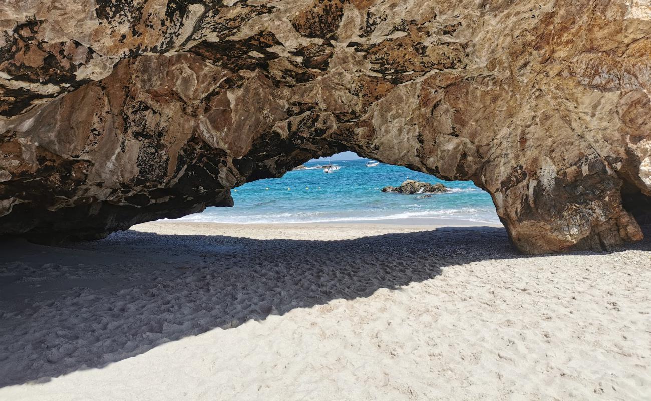 Photo of Playa la nopalera beach with bright fine sand surface