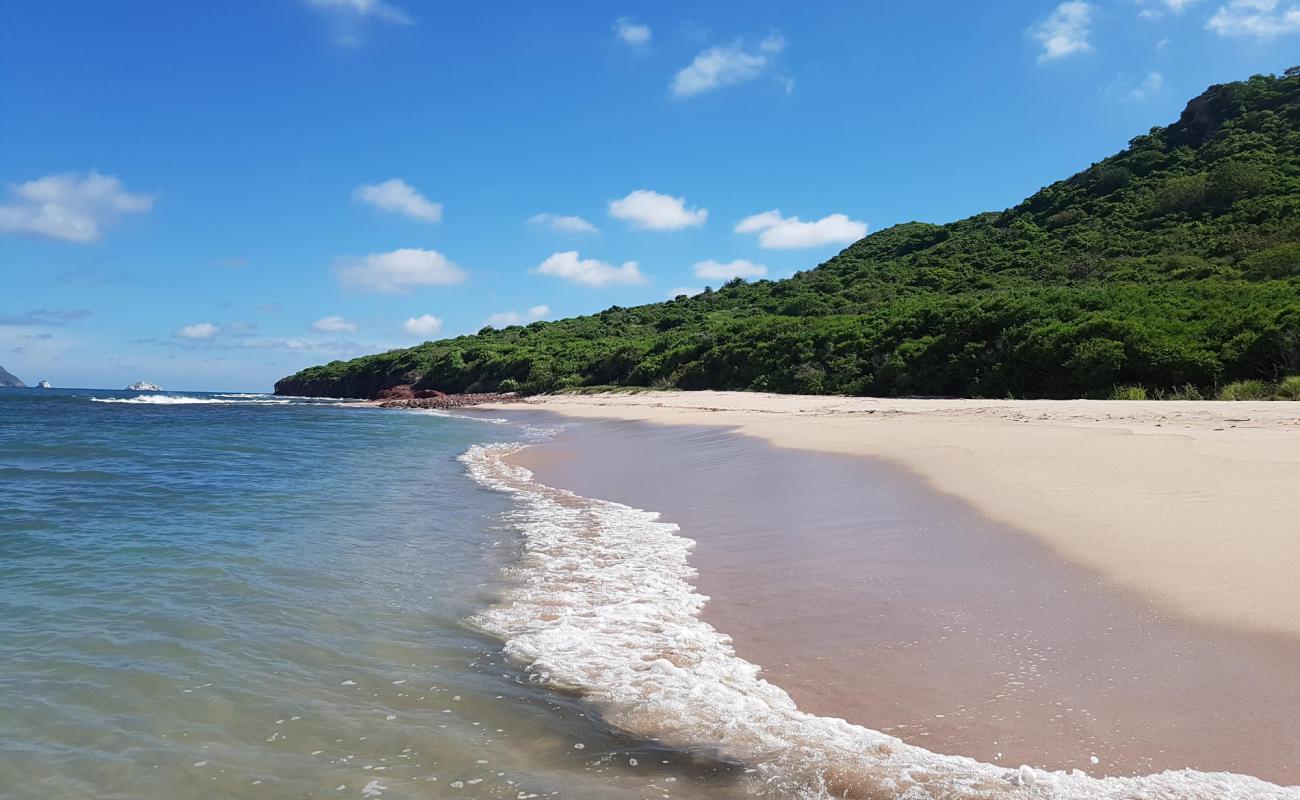 Photo of Venados beach with bright fine sand surface