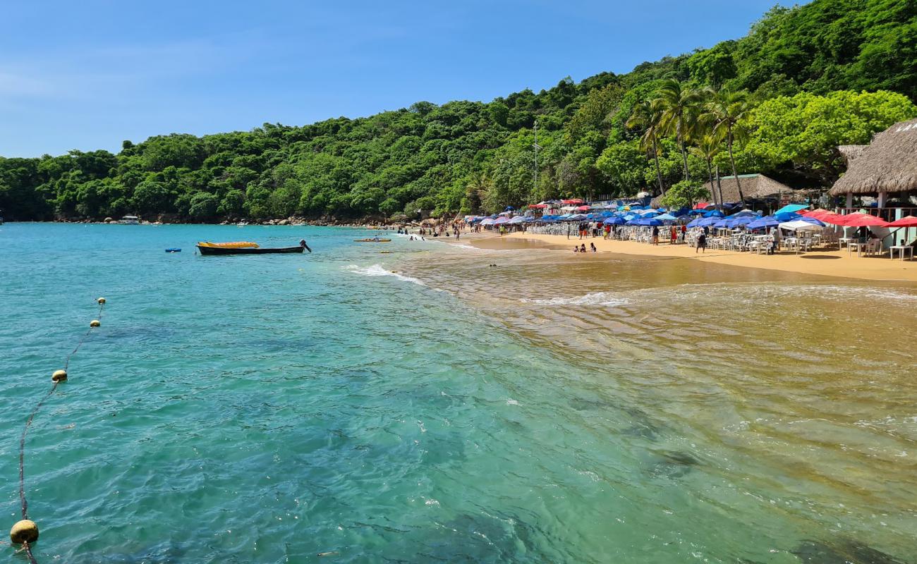 Photo of Roqueta beach with bright fine sand surface