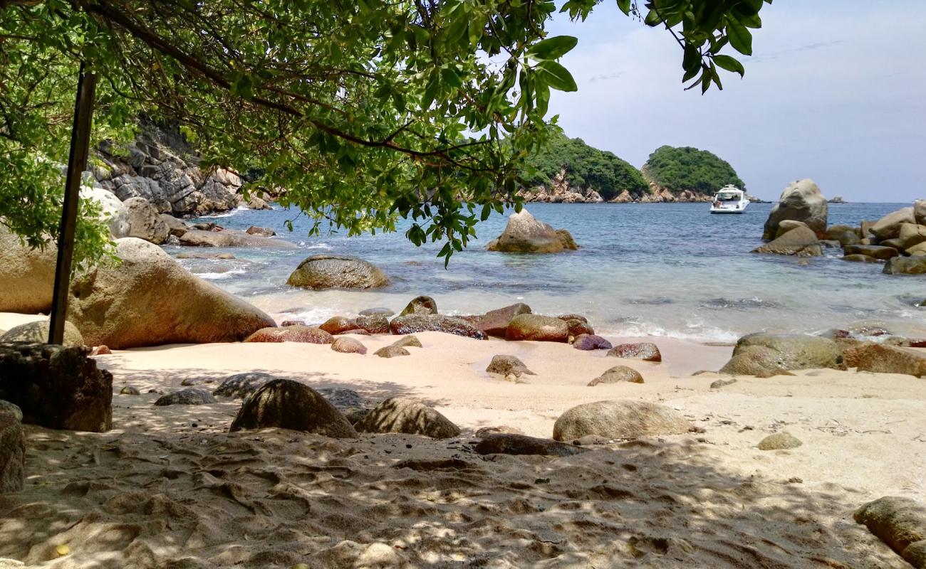 Photo of Roqueta Dania beach with light sand &  pebble surface