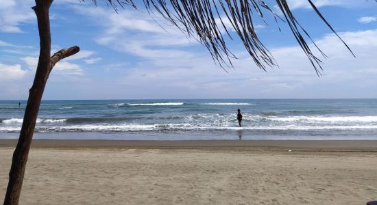 Playa de Chachalacas