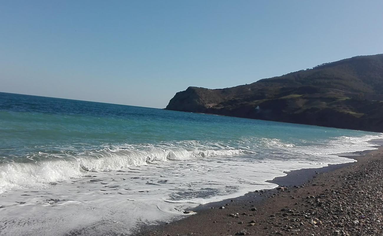 Photo of Tamernout plage II with gray sand &  pebble surface