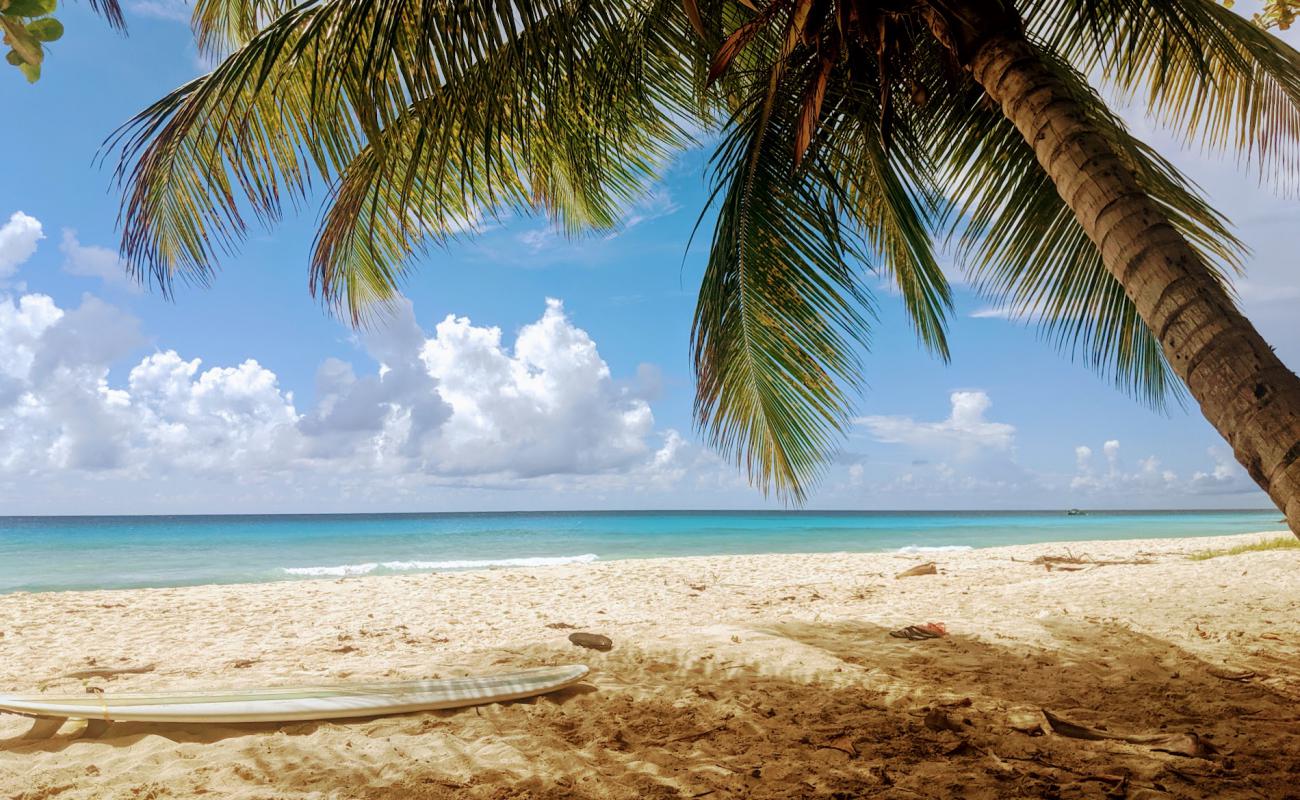 Photo of Drill Hall beach with bright sand surface