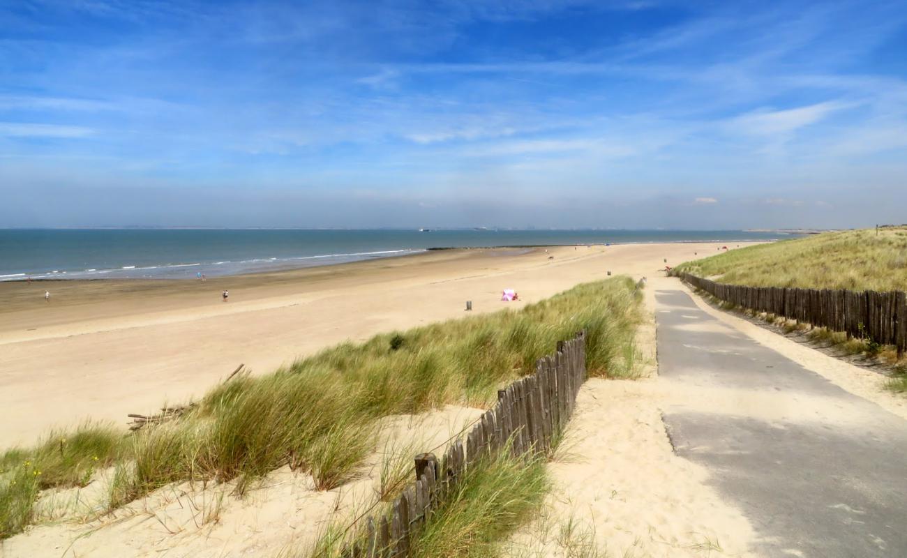 Photo of Moio Beach with bright sand surface