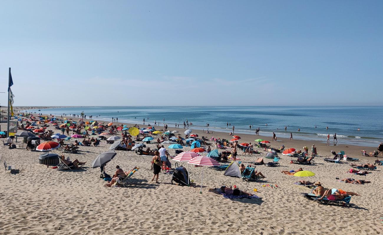 Photo of Renesse beach II with bright sand surface