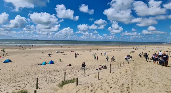 Parnassia aan Zee