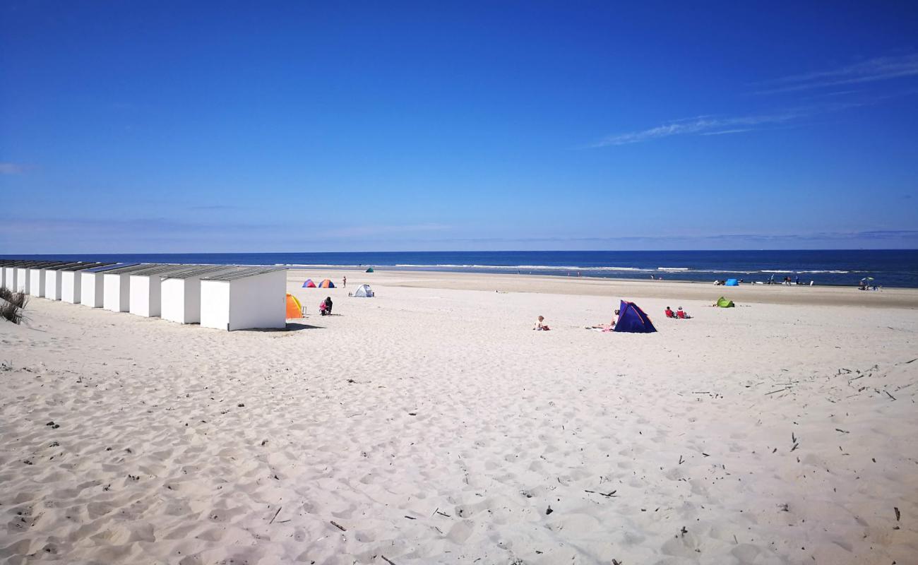 Photo of Texel Duinen with bright sand surface