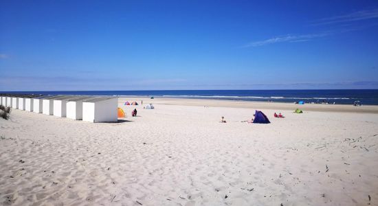 Texel Duinen