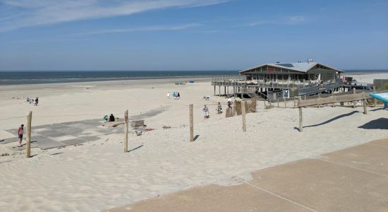 Ameland Beach