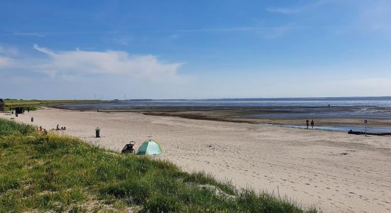 Harlingen Beach