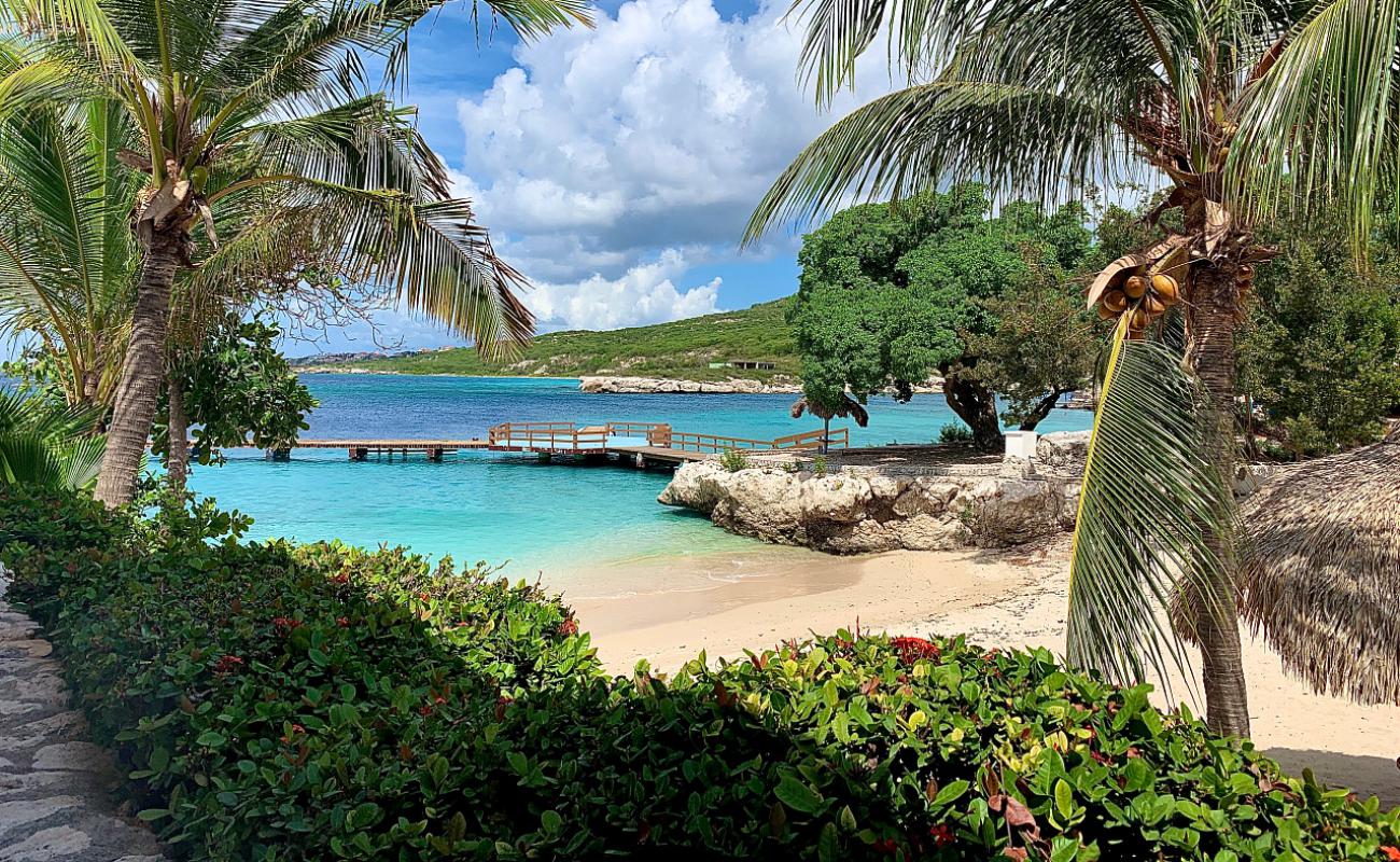 Photo of Dreams Curacao beach with bright fine sand surface