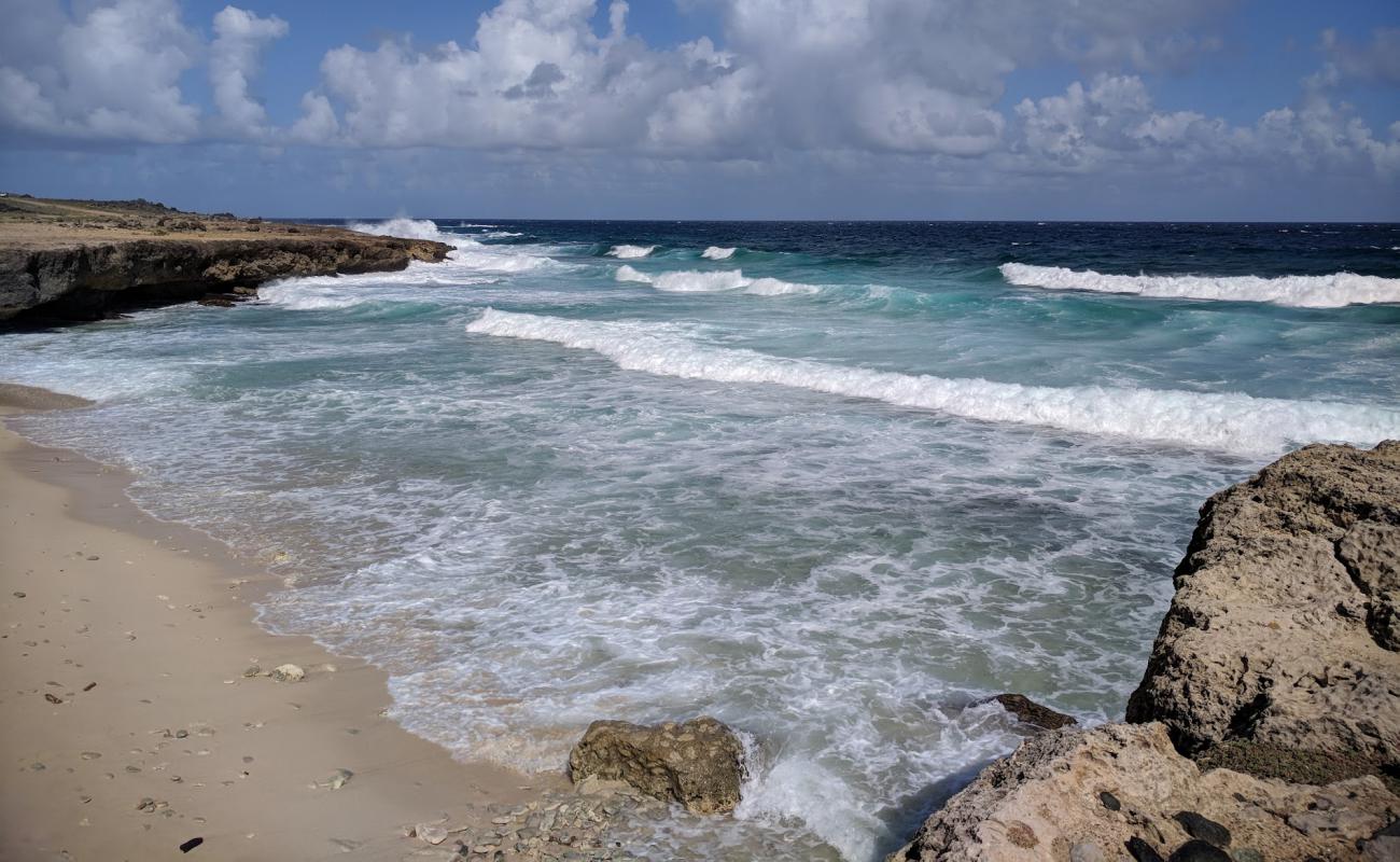 Photo of Wariruri beach with light sand &  pebble surface