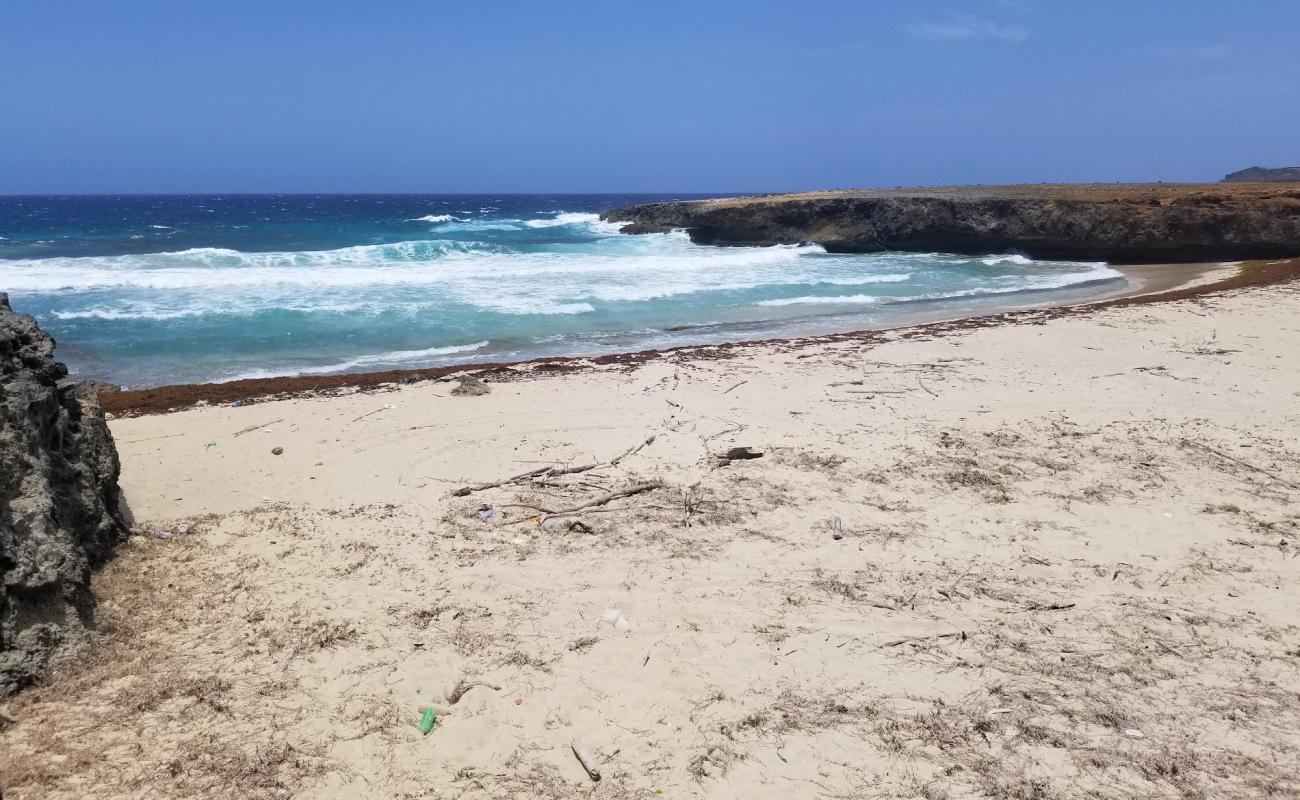 Photo of Daimari beach with bright sand surface