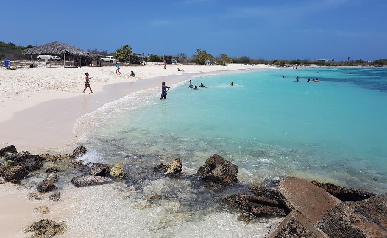 Photo of Rodger's beach with bright fine sand surface