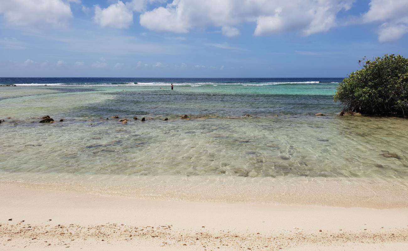 Photo of Mangel Halto with light sand &  pebble surface