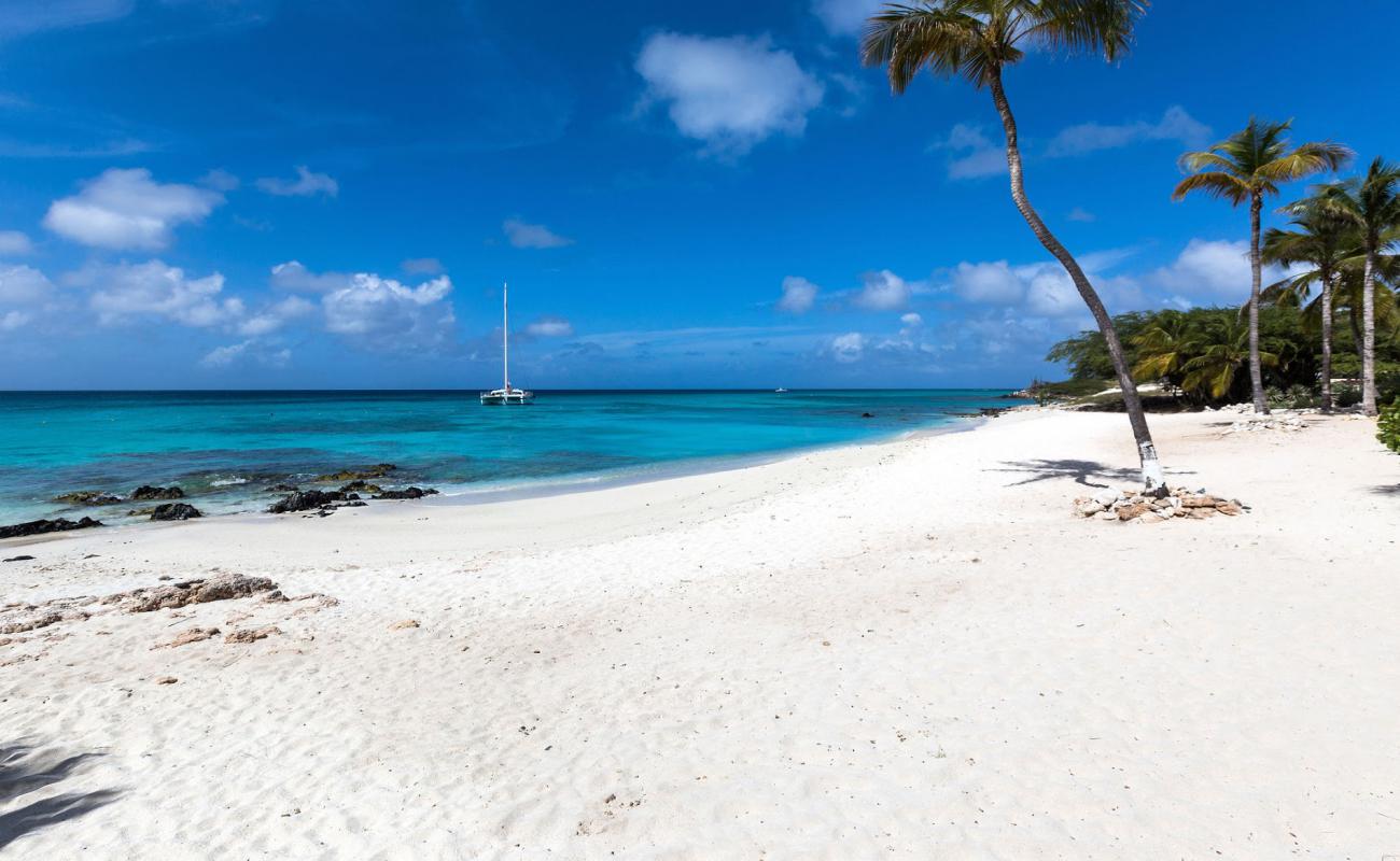 Photo of Boca Catalina Beach with bright fine sand surface