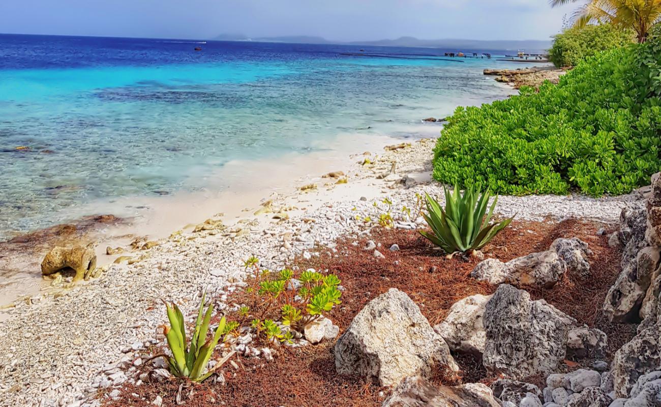 Photo of Hato Beach with rocks cover surface