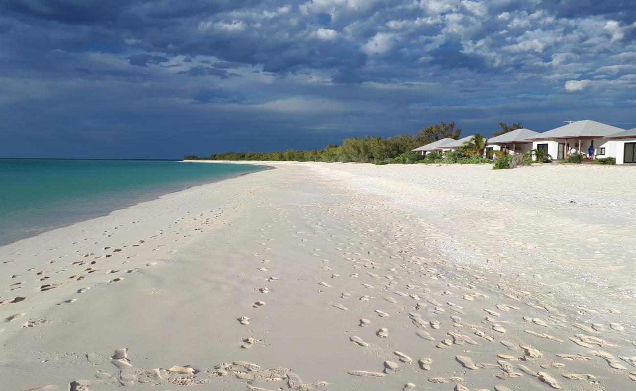 Photo of Ouvea Beach with white fine sand surface