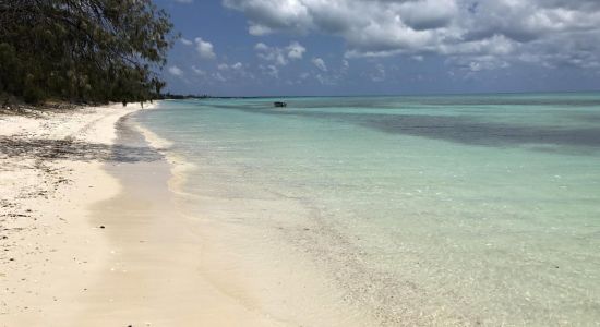 Ouvea Island Beach