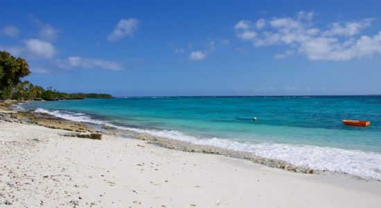 Tiberia Galoy Beach Syparaish Coastline