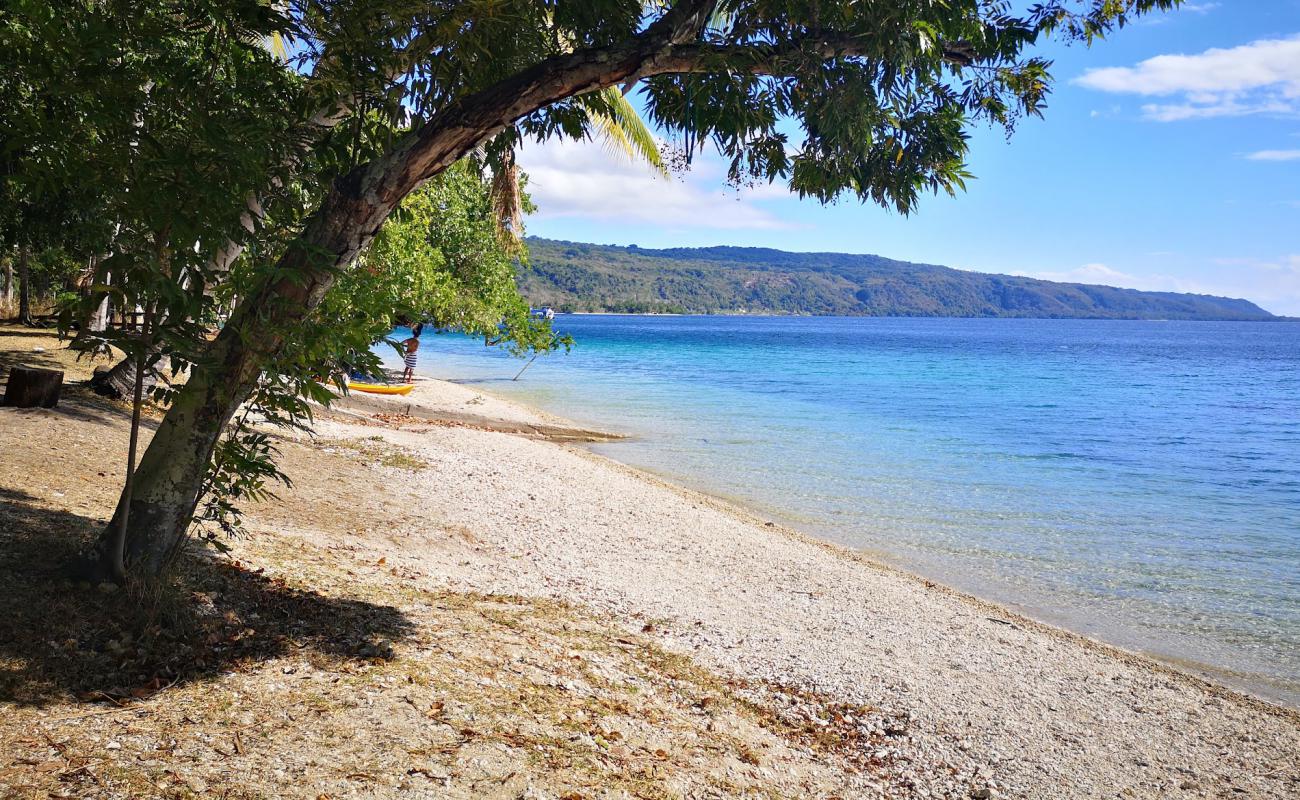 Photo of Havannah Beach with light fine pebble surface