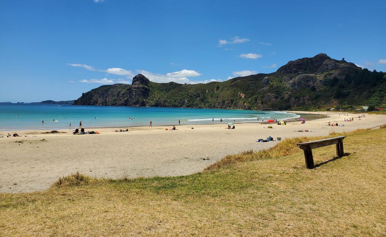 Photo of Taupo Bay Beach with bright sand surface