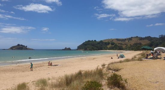 Te Ngaere Bay